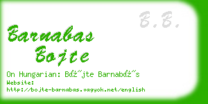 barnabas bojte business card